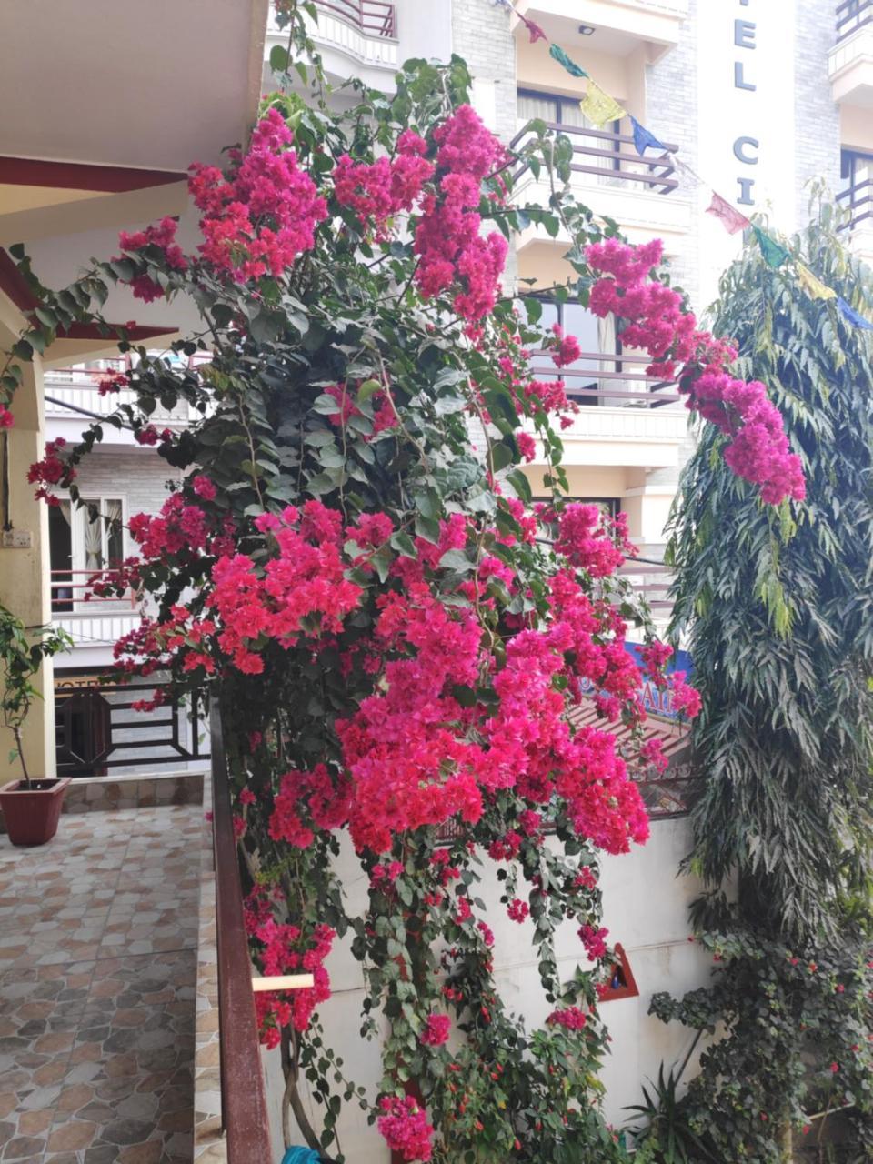 Hotel Angel Ποκάρα Εξωτερικό φωτογραφία