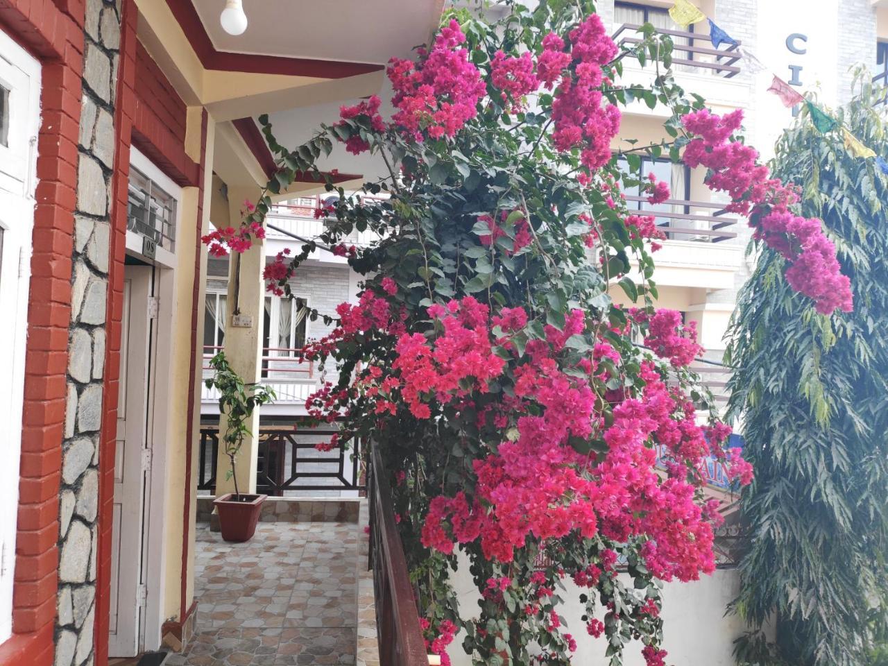 Hotel Angel Ποκάρα Εξωτερικό φωτογραφία